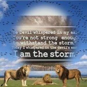 Meet your Posher, Phil janet